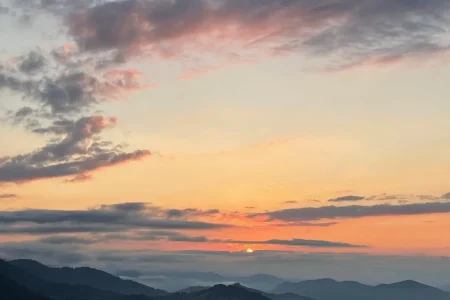 Ontwerp zonder titel